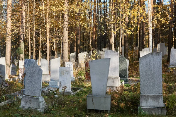 Παλιό Φθινοπωρινό Νεκροταφείο Πέτρινες Ταφόπλακες Κατάφυτες Δέντρα — Φωτογραφία Αρχείου
