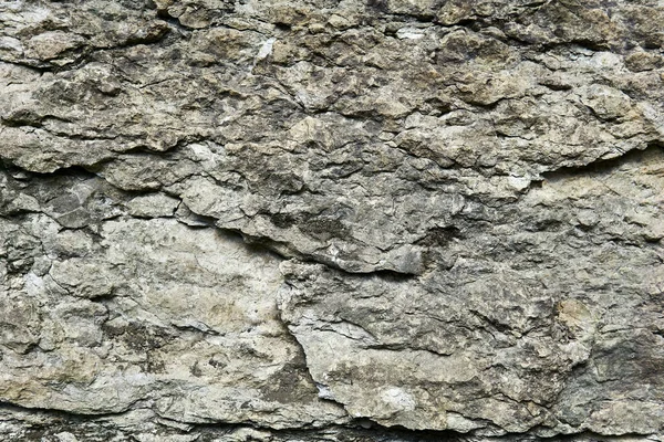 Fond Texture Surface Roche Calcaire Gris Rugueux — Photo