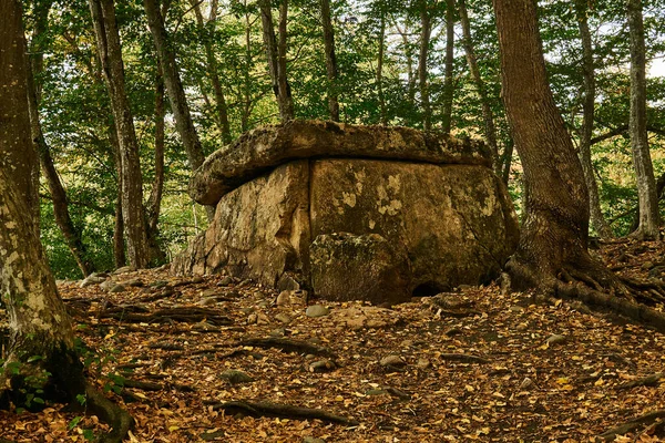Αρχαία Dolmen Megalith Μεταξύ Των Δέντρων Ένα Φθινόπωρο Άλσος Βράδυ — Φωτογραφία Αρχείου