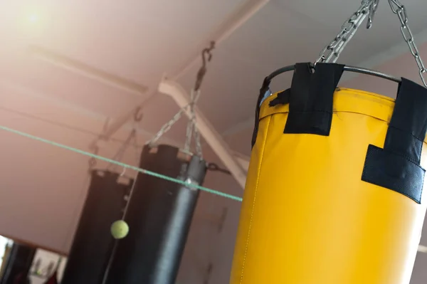 Punching bag hanging on chains on the ceiling
