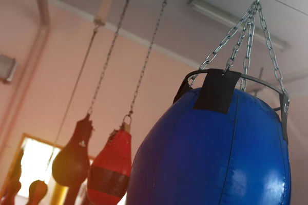 Punching bag hanging on chains on the ceiling