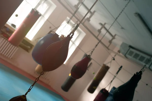 Punching bags hanging on chains on the hooks