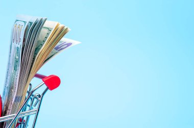 Küçük bir sepette 100 dolarlık banknot