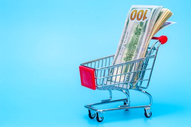 Küçük bir sepette 100 dolarlık banknot