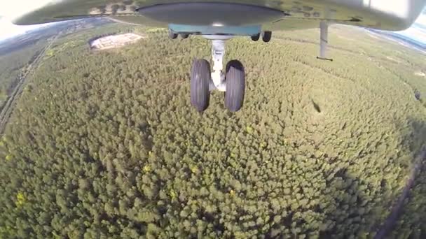 Helicóptero vuela sobre un bosque espeso en un soleado día cálido de verano — Vídeo de stock