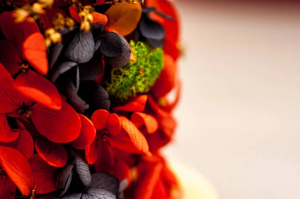 Close up of dried coral flowers — Stock Photo, Image