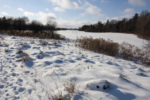 Caminho Neve Com Pista Esqui Torno Campo Milho — Fotografia de Stock