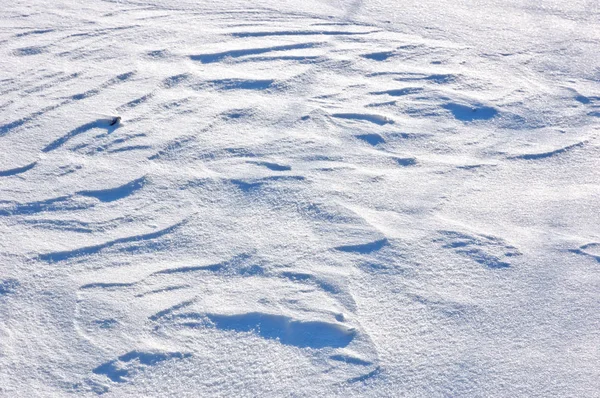 Árvores Totalmente Cobertas Por Neve Dia Inverno Perto Quintal — Fotografia de Stock