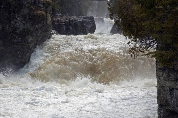 Cachoeira na Montanha McKenzie — Fotografia de Stock