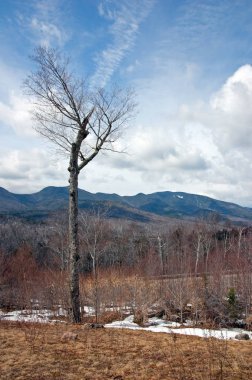 panaramic görünüm