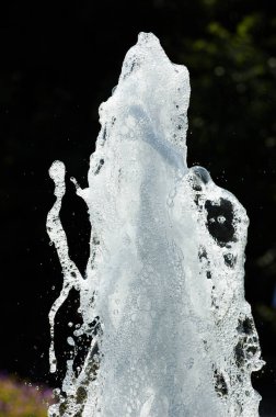 Siyah arkaplanda beyaz köpük