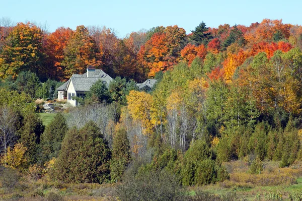Árvores Coloridas Redor Casa Tempo Outono — Fotografia de Stock