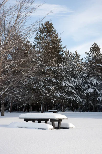 Barbecue Tafel Onder Sneeuw Quebec Winter — Stockfoto