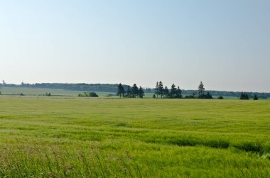 Prens Edward Adası 'nın tarlaları ve ormanları görünüyor.