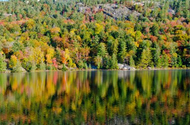 Killarney Park, Kanada 'da Orman Gölü' nün üzerinde gün doğumu