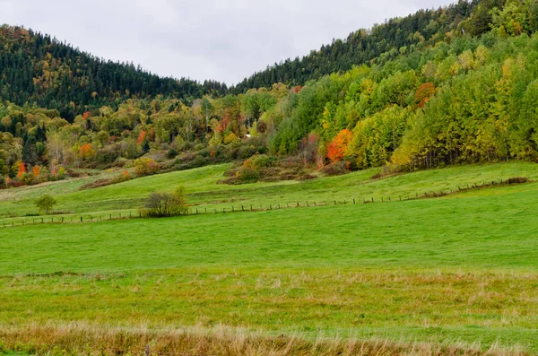 Färgglada Kullar Hösten Nära Saguenay Floden — Stockfoto