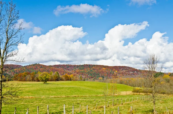 Paysage Accidenté Automne Québec Canada — Photo