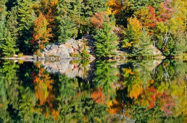 Killarney Park, Kanada 'da Orman Gölü' nün üzerinde gün doğumu