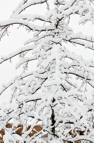 Neige Hivernale Dans Une Petite Ville Canadienne — Photo