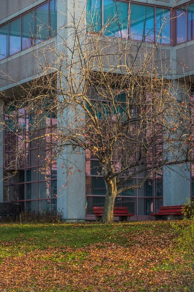 Edificio Negocios Otoño Markham Canadá —  Fotos de Stock