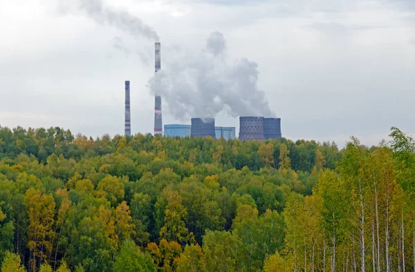 Sonbahar Ormanının Arkasındaki Kömür Santrali — Stok fotoğraf