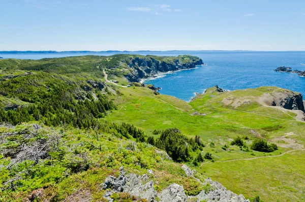 Берег Ньюфаундленда Канада Солнечный День — стоковое фото