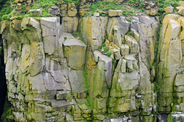 Green Cliffs Shore Newfoundland Canada — Stock Photo, Image