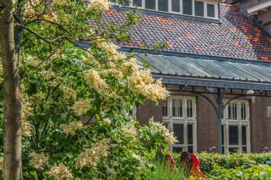 Amsterdam 'daki evin döşeme çatısı.