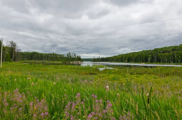 Lago Del Bosque Cerca Superior Lake Canadá — Foto de Stock