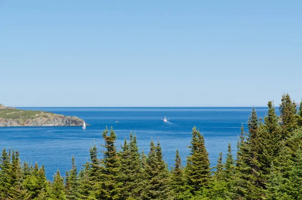 Pantai Newfoundland Kanada Hari Yang Cerah — Stok Foto