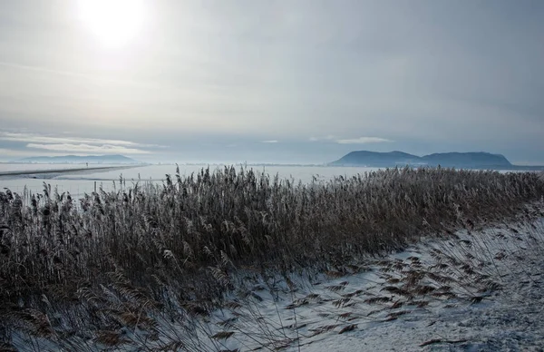 Снежное Поле Сухими Травинками Фоне Холма — стоковое фото