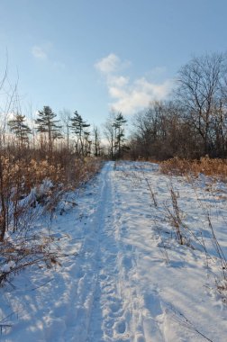 Ağaçların ve tarlaların etrafında kayak pisti olan kar yolu