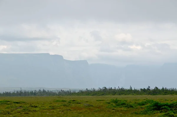 Newfoundland Coast Summer Time — Stock Photo, Image