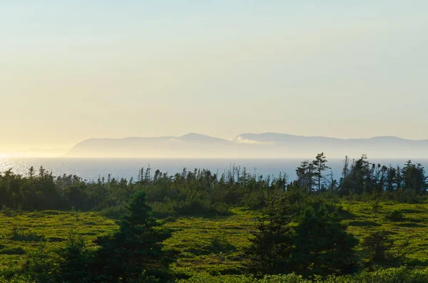 Ακτή Του Newfoundland Καναδάς Στην Ηλιόλουστη Μέρα — Φωτογραφία Αρχείου