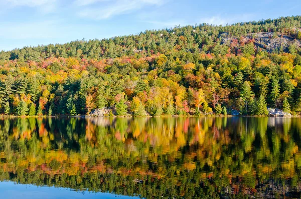 Sonnenaufgang Über Dem Waldsee Killarney Park Kanada — Stockfoto