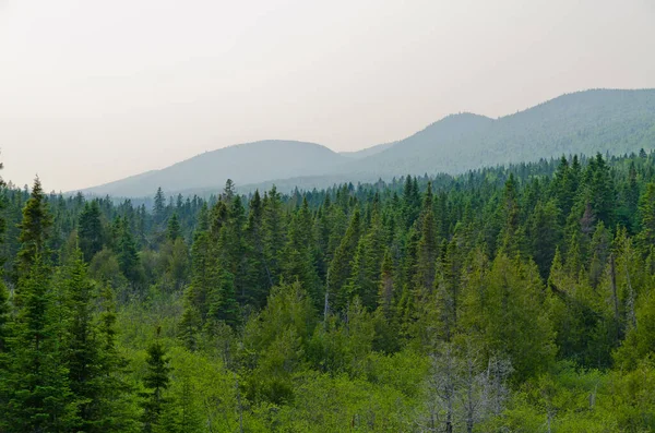 Hills and forest in South part of Quebec, Canada