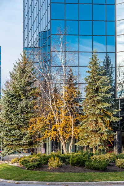 秋天的商业大厦 Markham 加拿大 — 图库照片