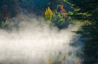 Killarney Park, Kanada 'da Orman Gölü' nün üzerinde gün doğumu
