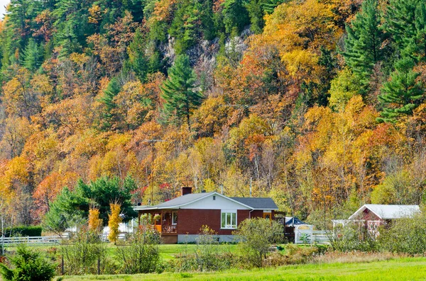 Paesaggio Rurale Autunno Quebec Canada — Foto Stock