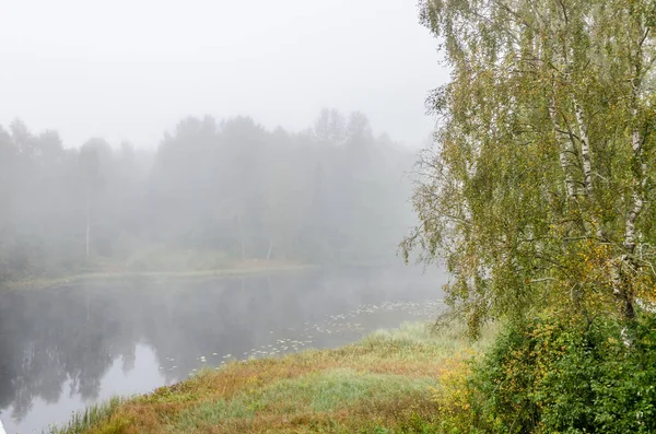 Starker Nebel Über Dem Fluss Zur Herbstzeit Norwegen — Stockfoto