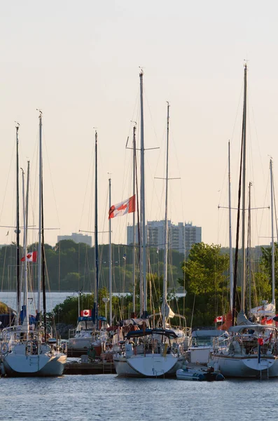 Jachty Łodzie Nabrzeżu Toronto — Zdjęcie stockowe