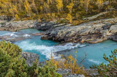 Dağ nehrinin manzarası. Norveç.