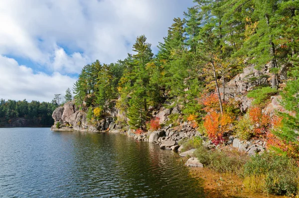 Salida Del Sol Sobre Lago Del Bosque Parque Killarney Canadá — Foto de Stock