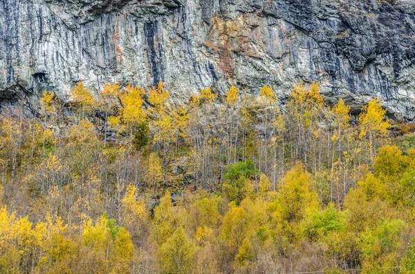 Bergen Hooglanden Noorwegen Herfst — Stockfoto