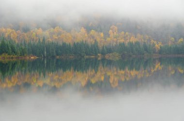 Sonbahar zamanı Orman Gölü, Quebec, Kanada