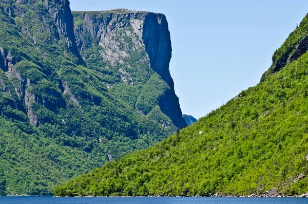 Western Brook Pond Newfoundland Kanada — Stok fotoğraf