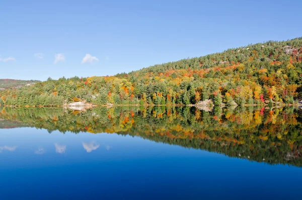 Salida Del Sol Sobre Lago Del Bosque Parque Killarney Canadá — Foto de Stock