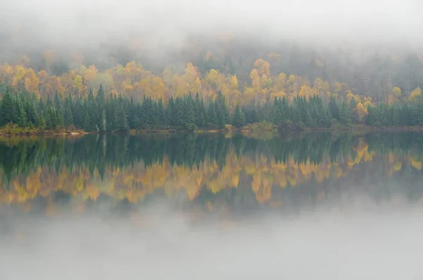 Lesní Jezero Podzim Quebec Kanada — Stock fotografie