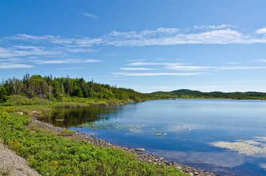 Güneşli bir günde Newfoundland, Kanada kıyıları