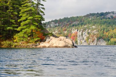 Killarney Park, Kanada 'da Orman Gölü' nün üzerinde gün doğumu